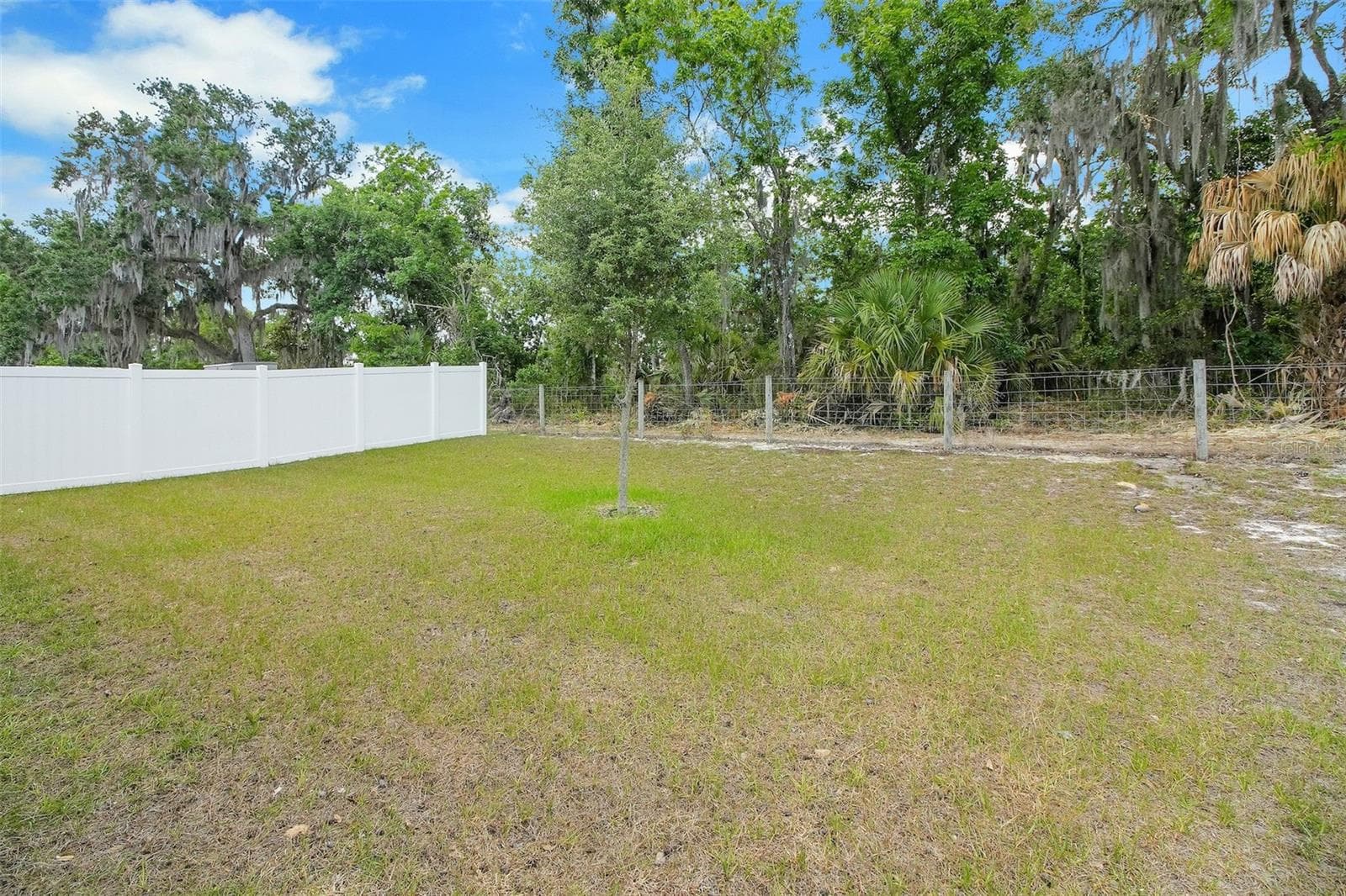 Backyard - 30112 ARMENIA RD, LEESBURG