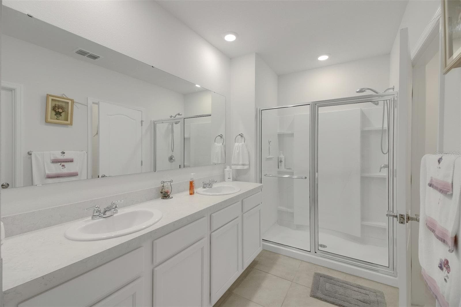Primary Bathroom - 30112 ARMENIA RD, LEESBURG