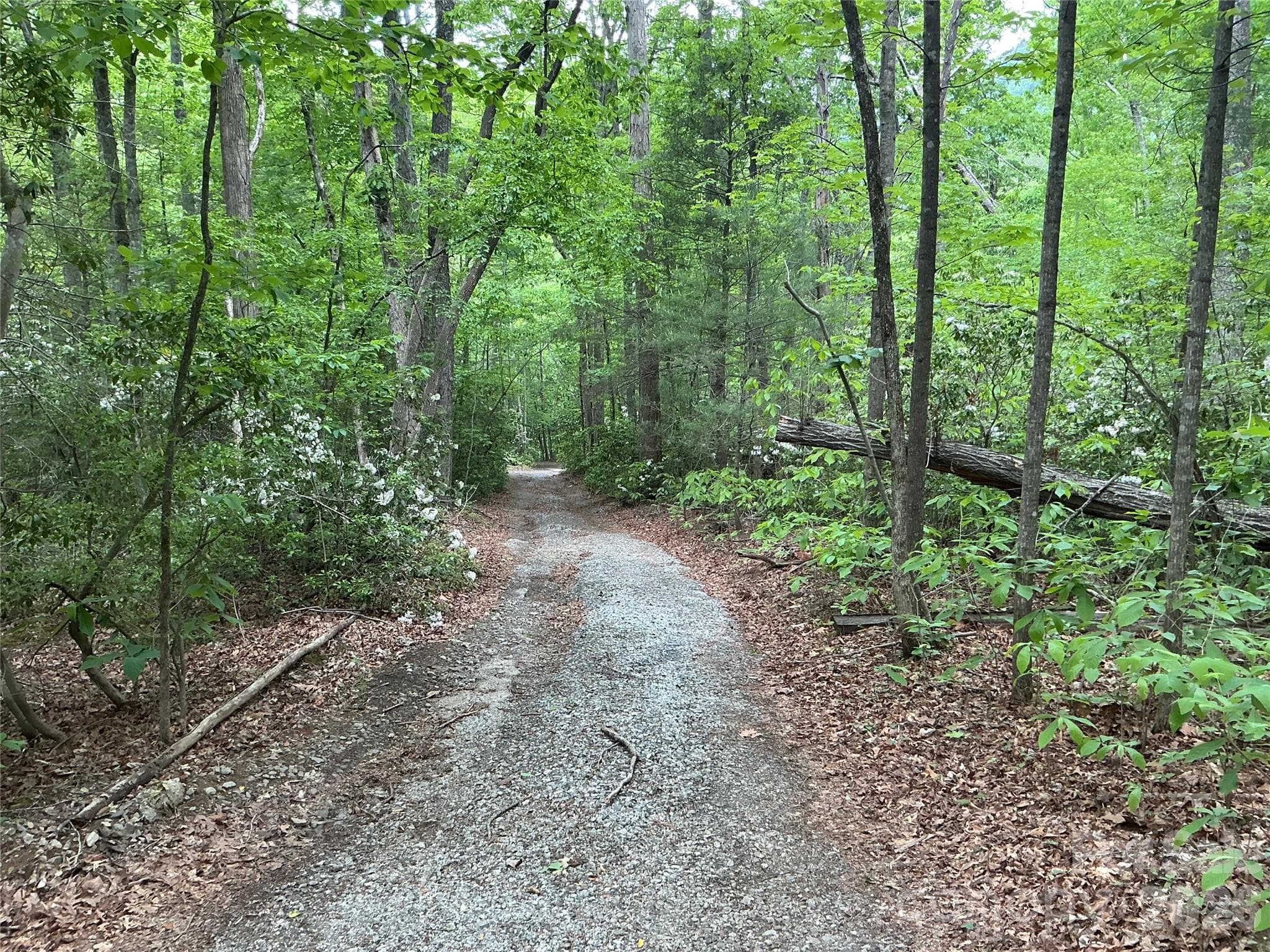 Lot at 00 Green River Cove Road, Saluda, photo 2 of 8