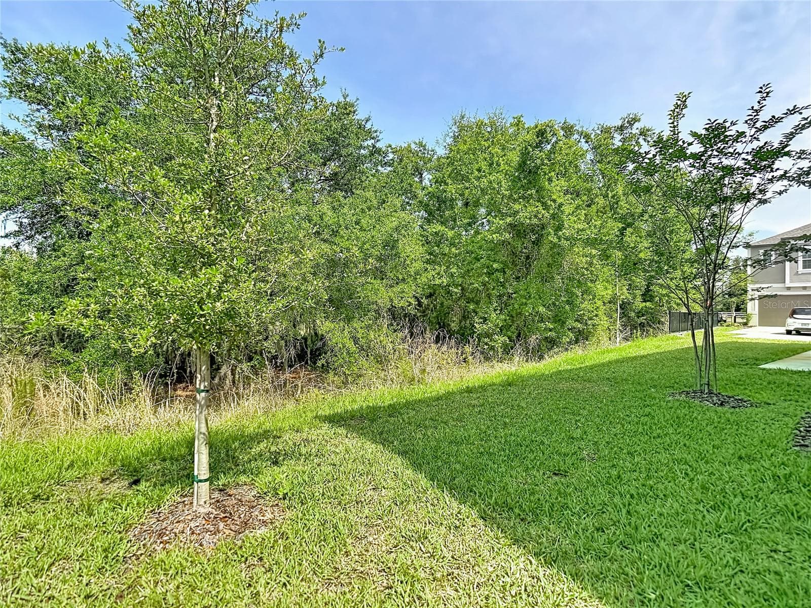 Townhouse at 10801 FORT WHITE CT, TAMPA, photo 78 of 85