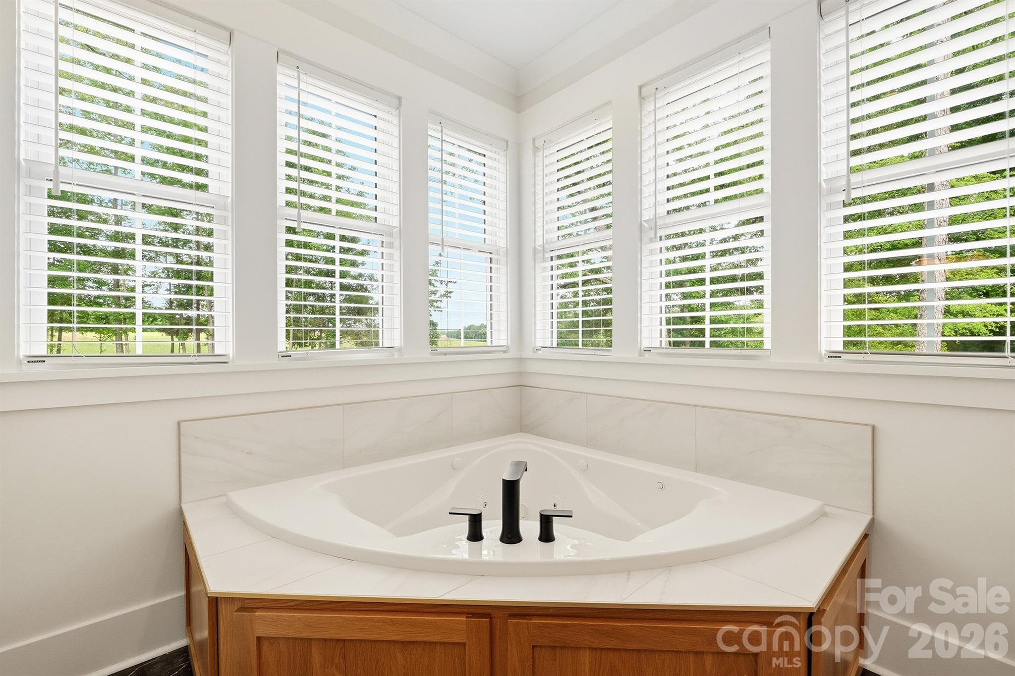 Whirpool Tub - 2855 Long Run Farm Road, Mount Pleasant