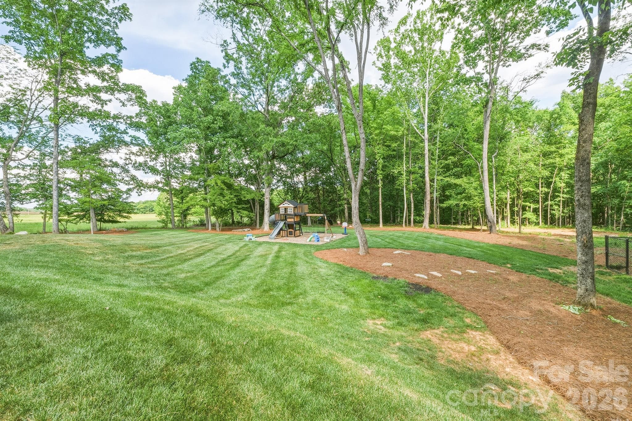 Backyard - 2855 Long Run Farm Road, Mount Pleasant