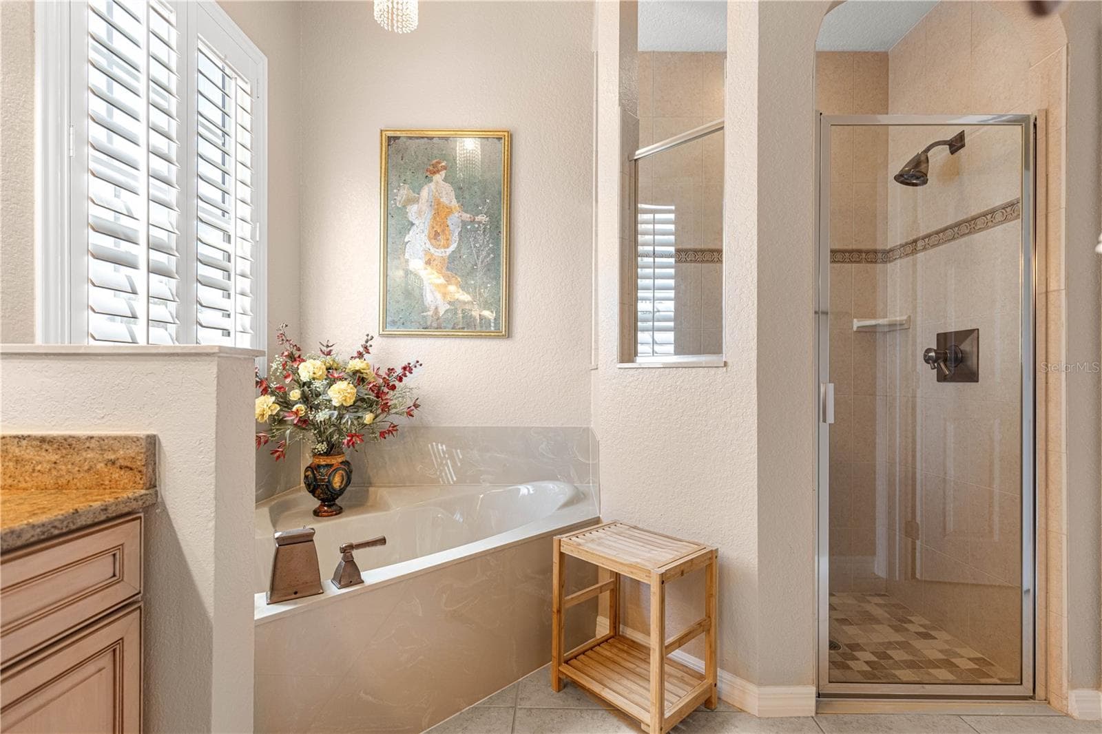 En-Suite Soaker Tub and shower - 12271 SE 175TH LN, SUMMERFIELD