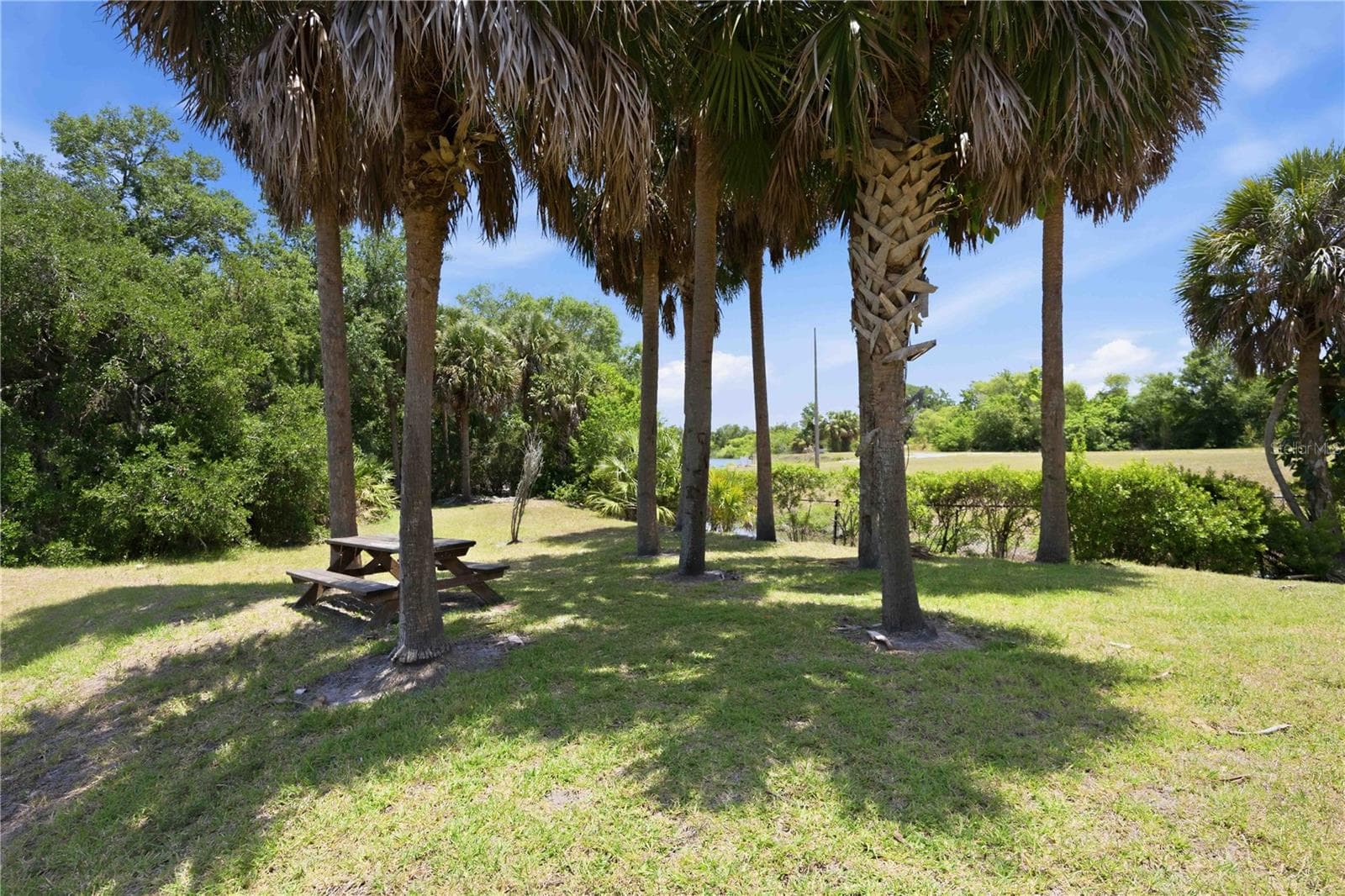 Lush Landscape - 5629 KEY LARGO CT #B06, BRADENTON
