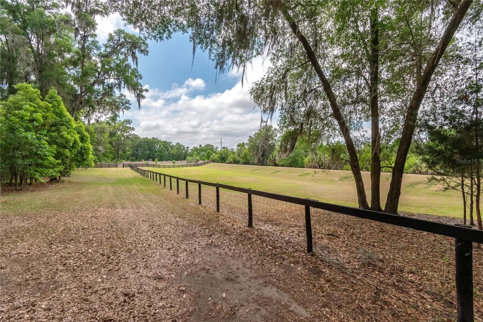 Single Family Residence at 5021 NW 101ST STREET RD, OCALA, photo 64 of 85