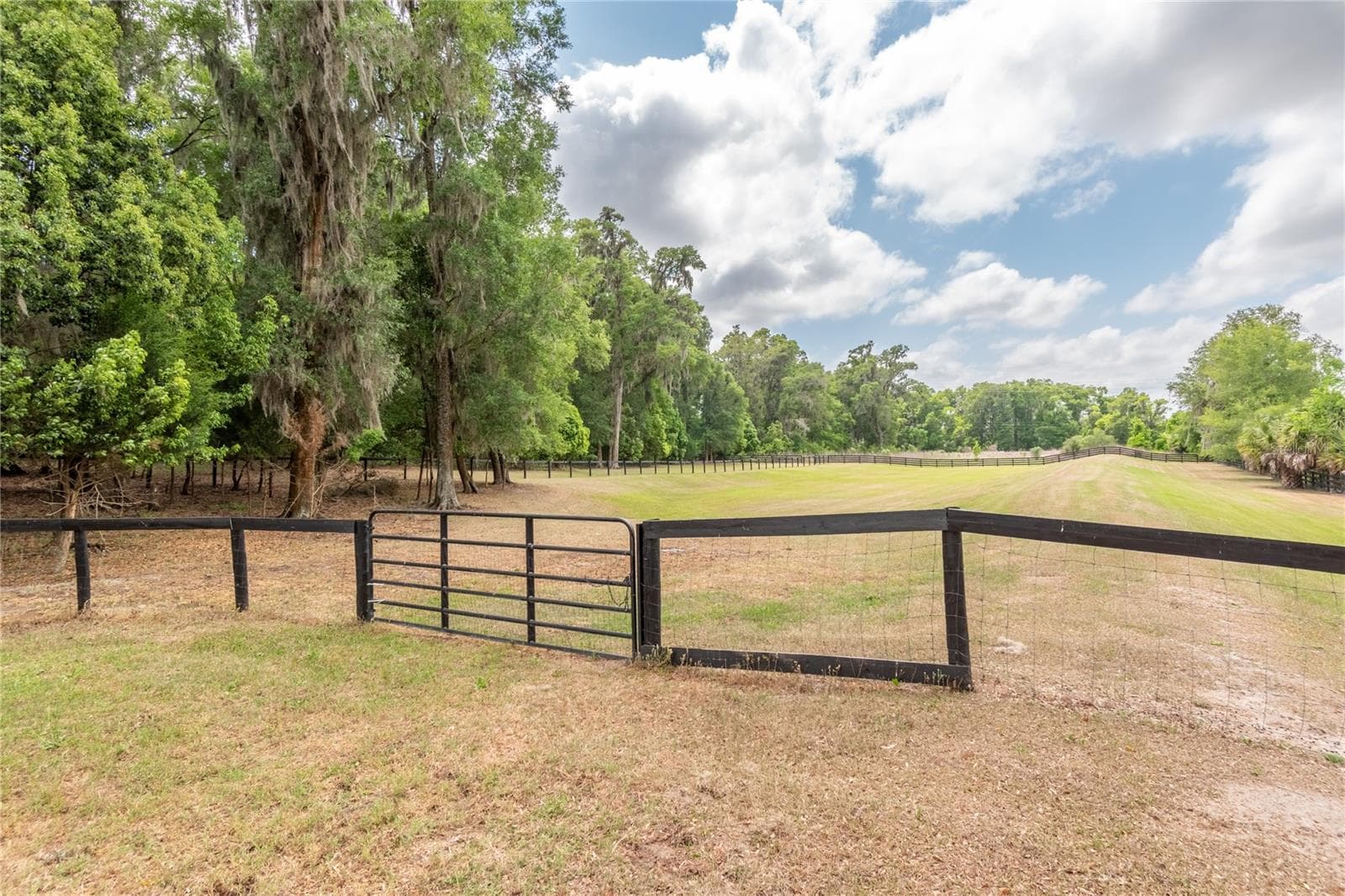 Single Family Residence at 5021 NW 101ST STREET RD, OCALA, photo 69 of 85