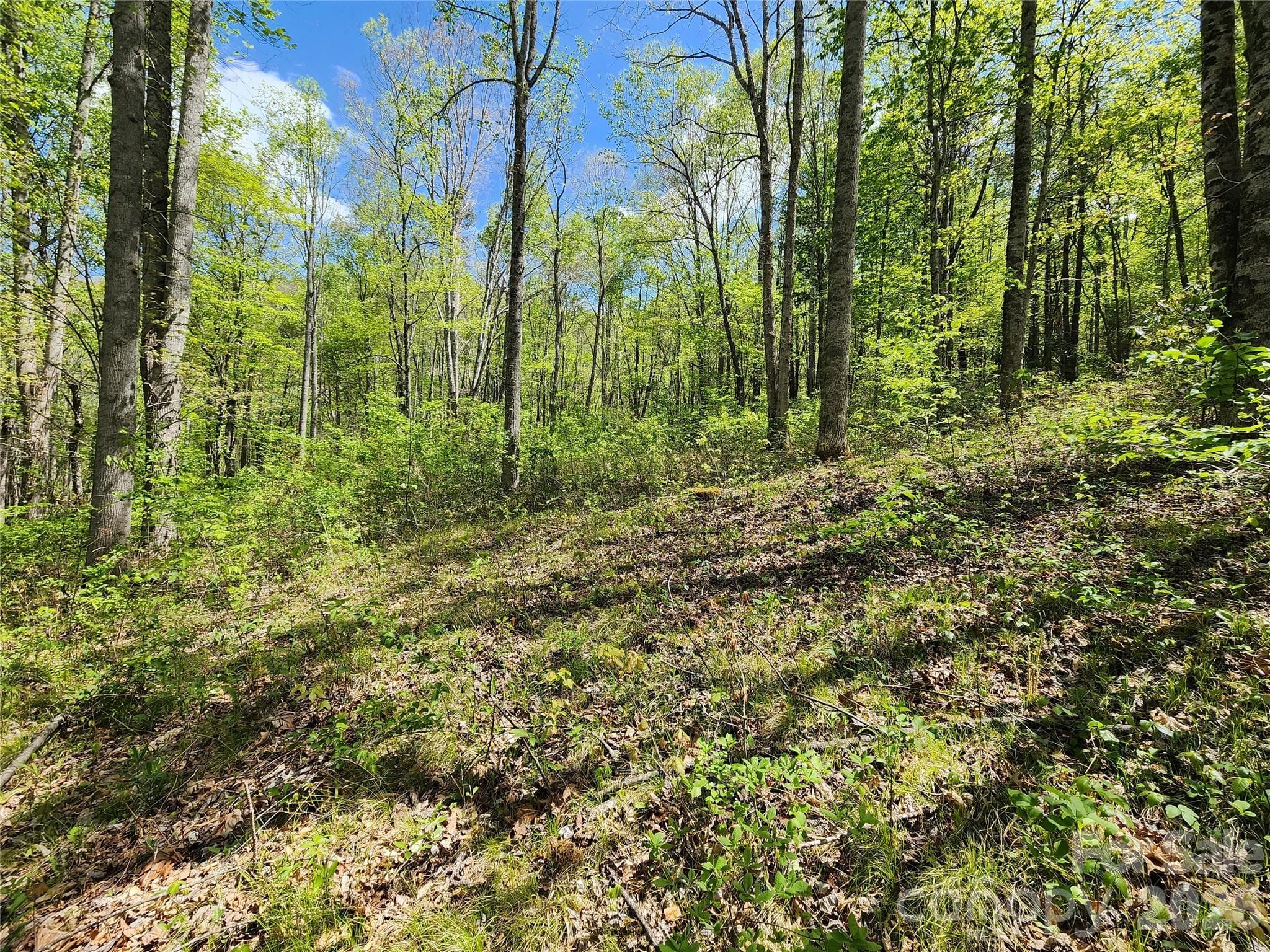 Lot at Canton, photo 2 of 12