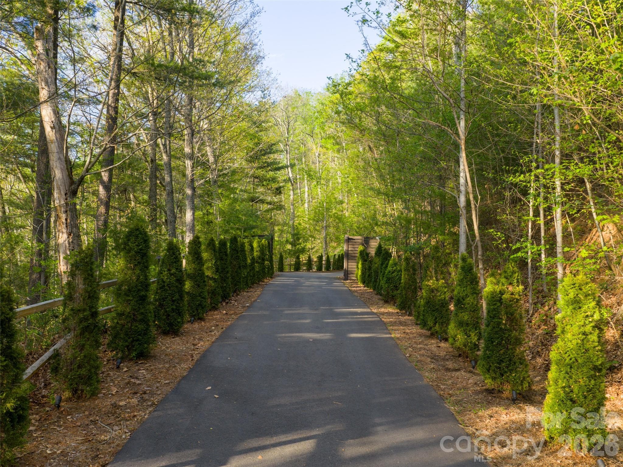 Private lighted -driveway with lush landscaping leads to the property. - 32 Timberwolf Court, Asheville