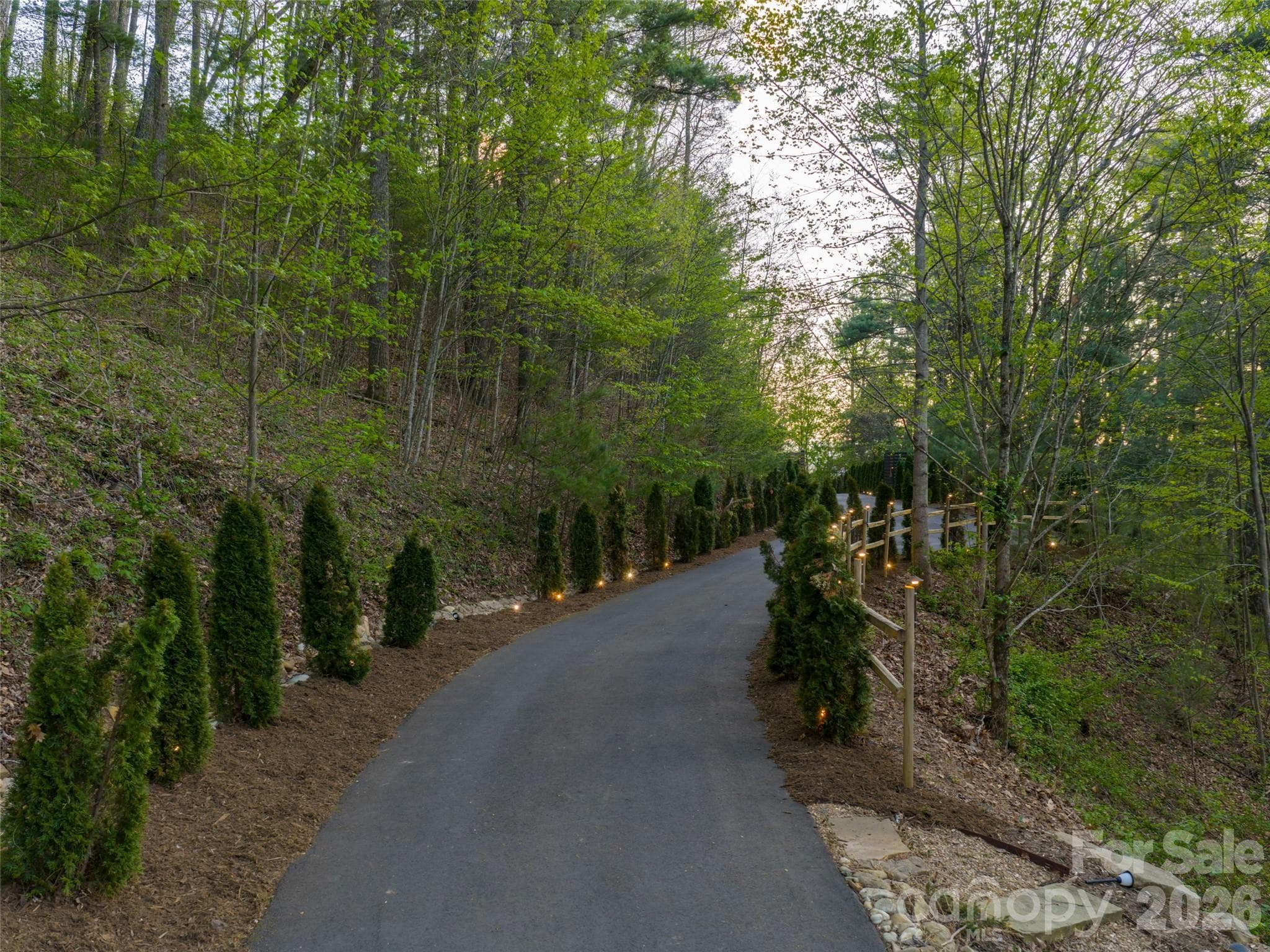 Private road entryway beautifully landscaped with evergreens. - 32 Timberwolf Court, Asheville