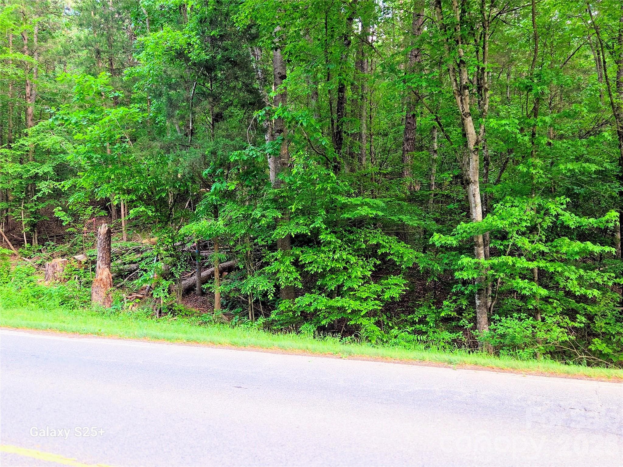 Acreage at Albemarle, photo 3 of 9