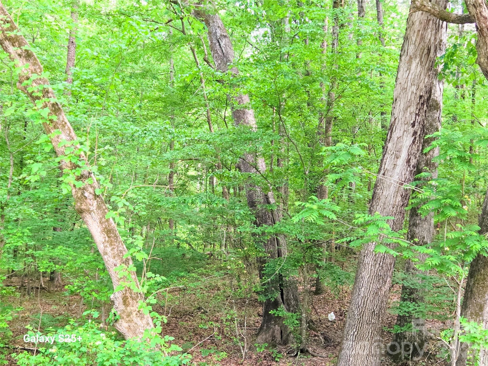 Acreage at Albemarle, photo 9 of 9