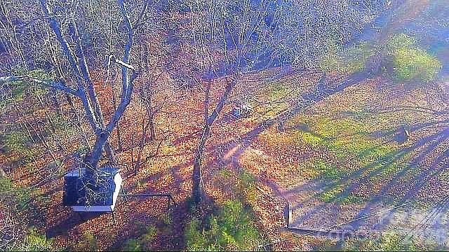 Single Family Residence at 138 Rash Road, Lincolnton, photo 4 of 41