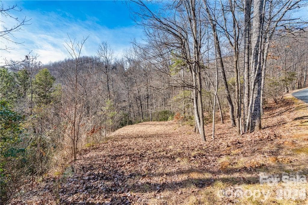 Lot at Black Mountain, photo 3 of 25