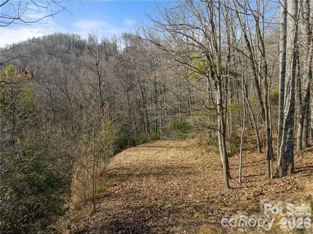 Lot at Black Mountain, photo 5 of 25