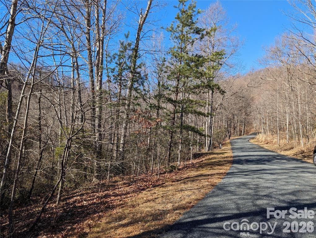Lot at Black Mountain, photo 12 of 25