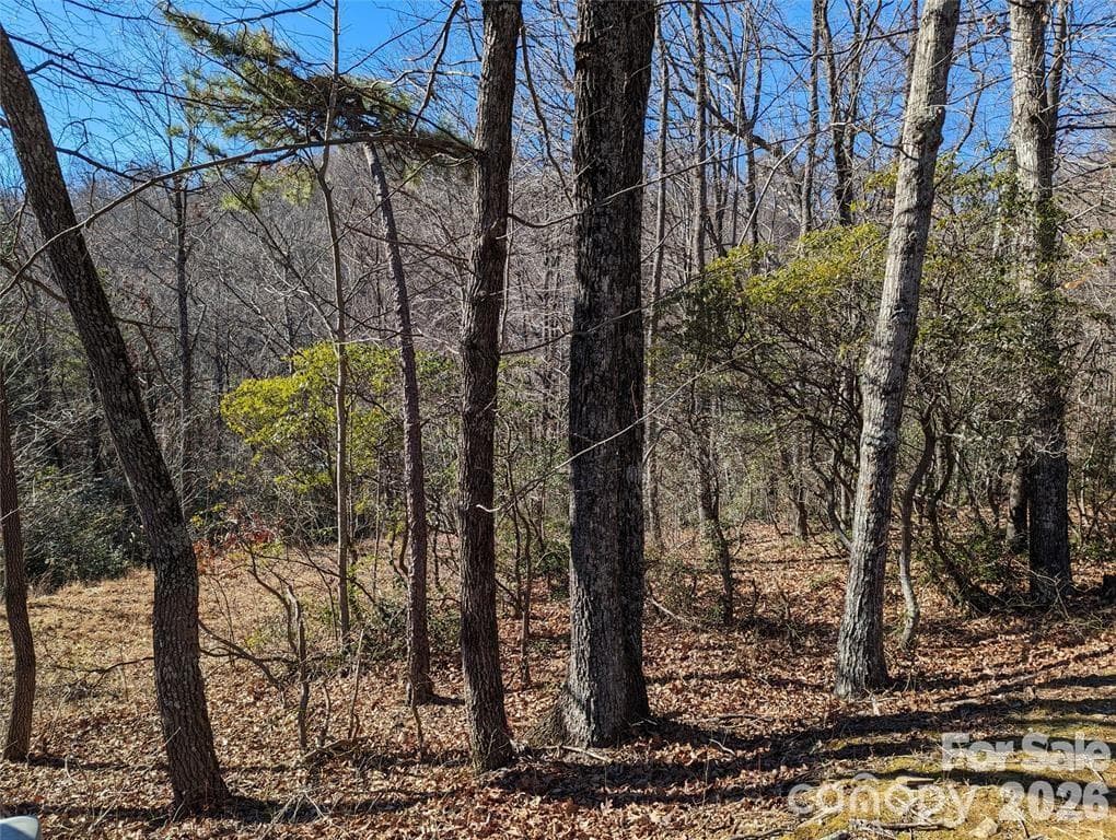 Lot at Black Mountain, photo 16 of 25