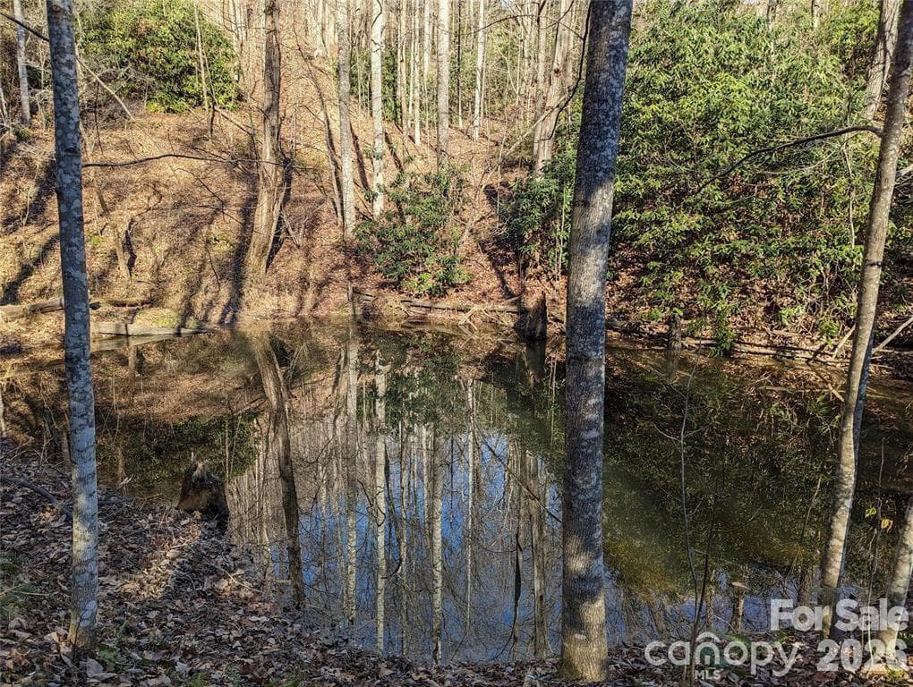 Lot at Black Mountain, photo 21 of 25