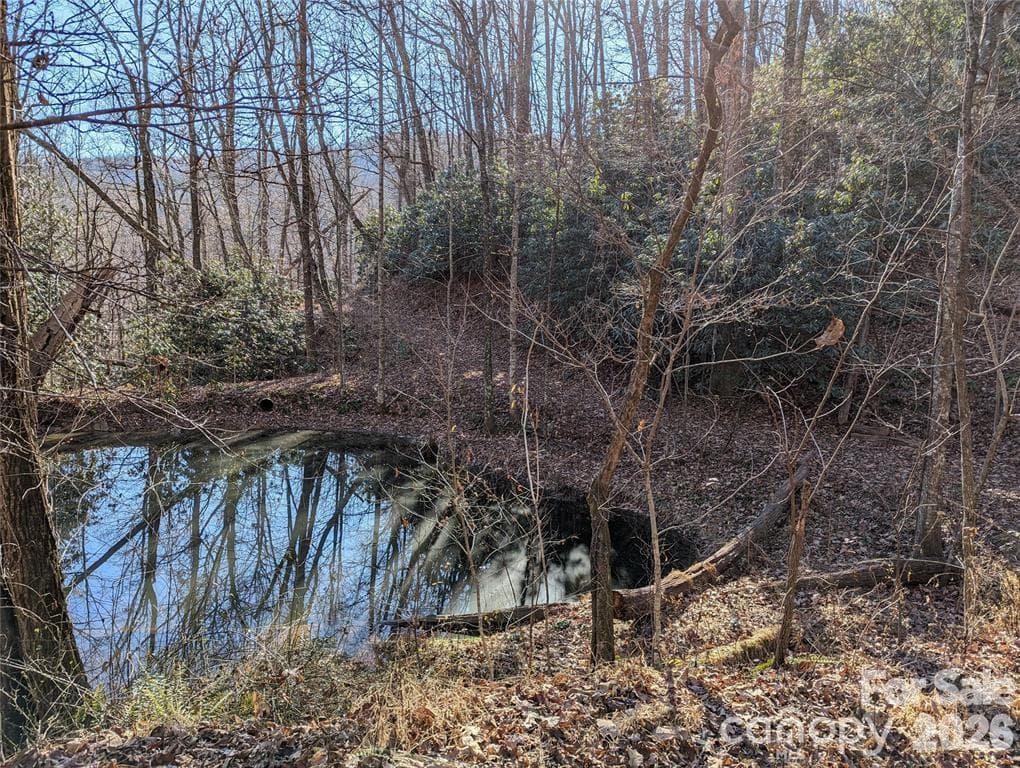 Lot at Black Mountain, photo 22 of 25