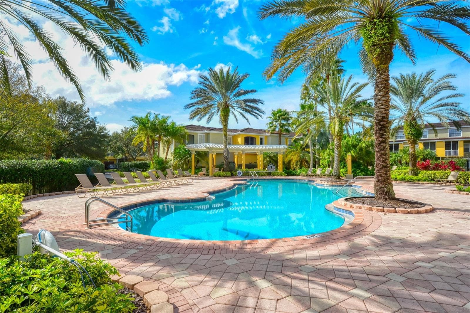Community pool. - 5655 BENTGRASS DR #9-116, SARASOTA