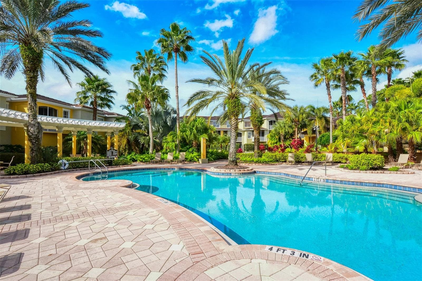 Community pool. - 5655 BENTGRASS DR #9-116, SARASOTA
