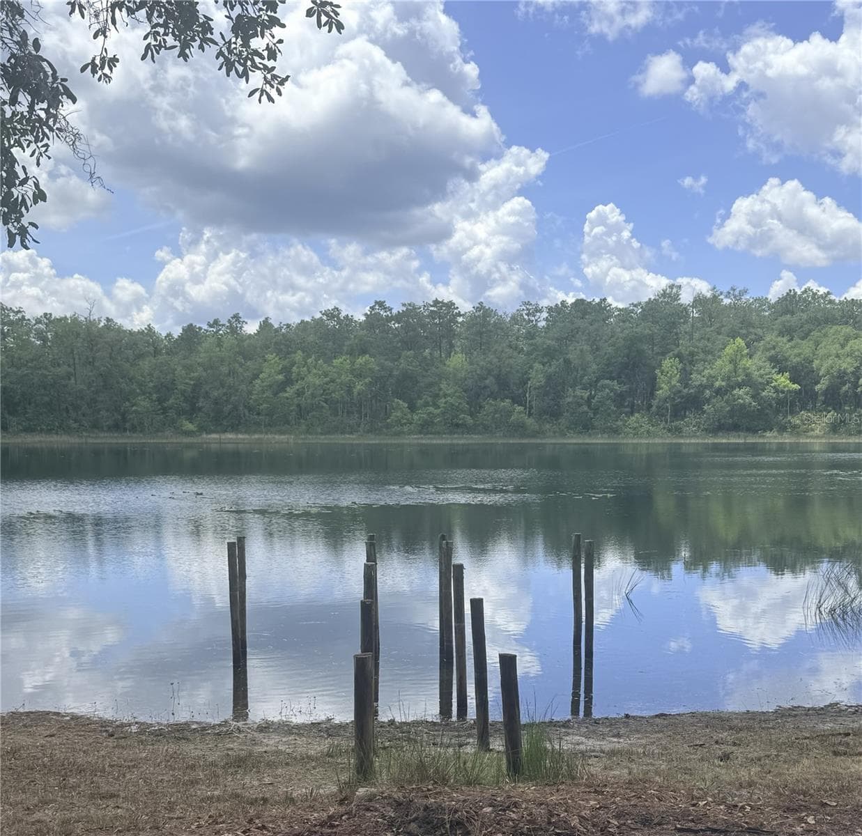Dock Posts as of 4.20.26 - 14730 SE 61ST STREET RD, OCKLAWAHA