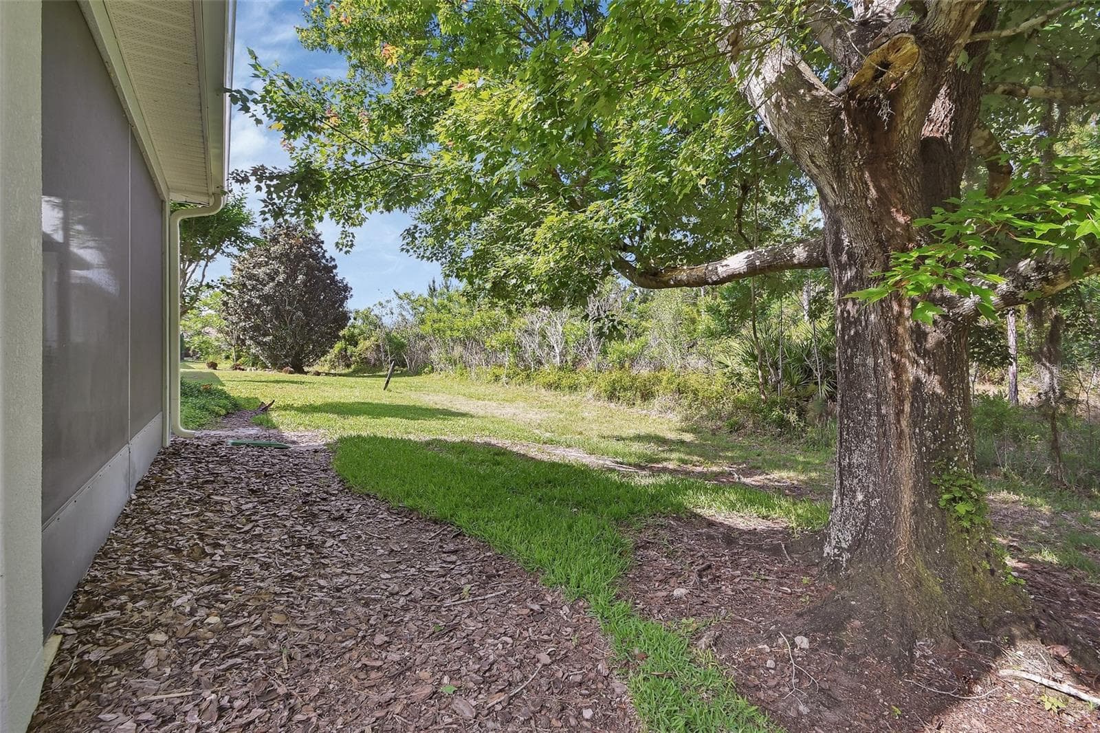 back yard - 525 HERON POINT WAY, DELAND