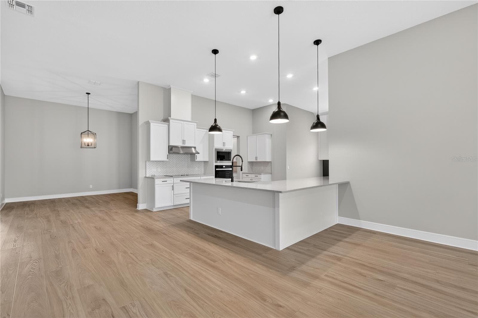 Single Family Residence at 3836 SADDLE HILL TRL, FRUITLAND PARK, photo 10 of 54
