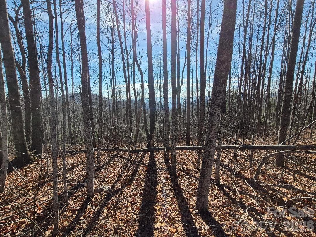 fall/winter view from the top of the ridgeline - great spot for building - 0 Roper Hollow Road, Morganton