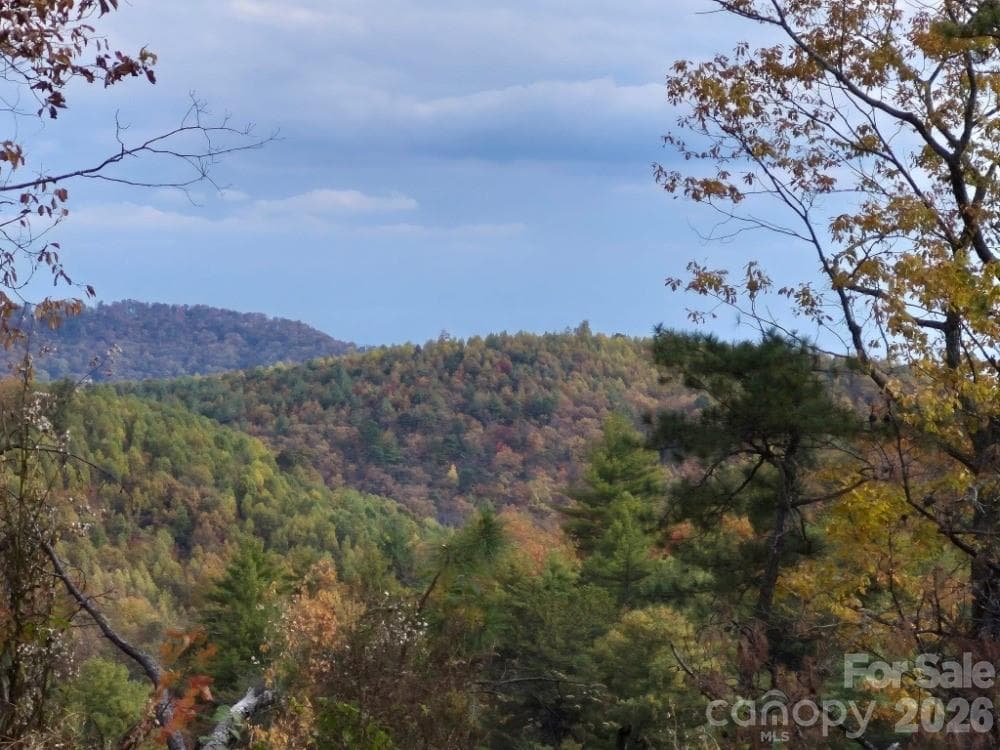 fall/winter view from the ridgeline - 0 Roper Hollow Road, Morganton