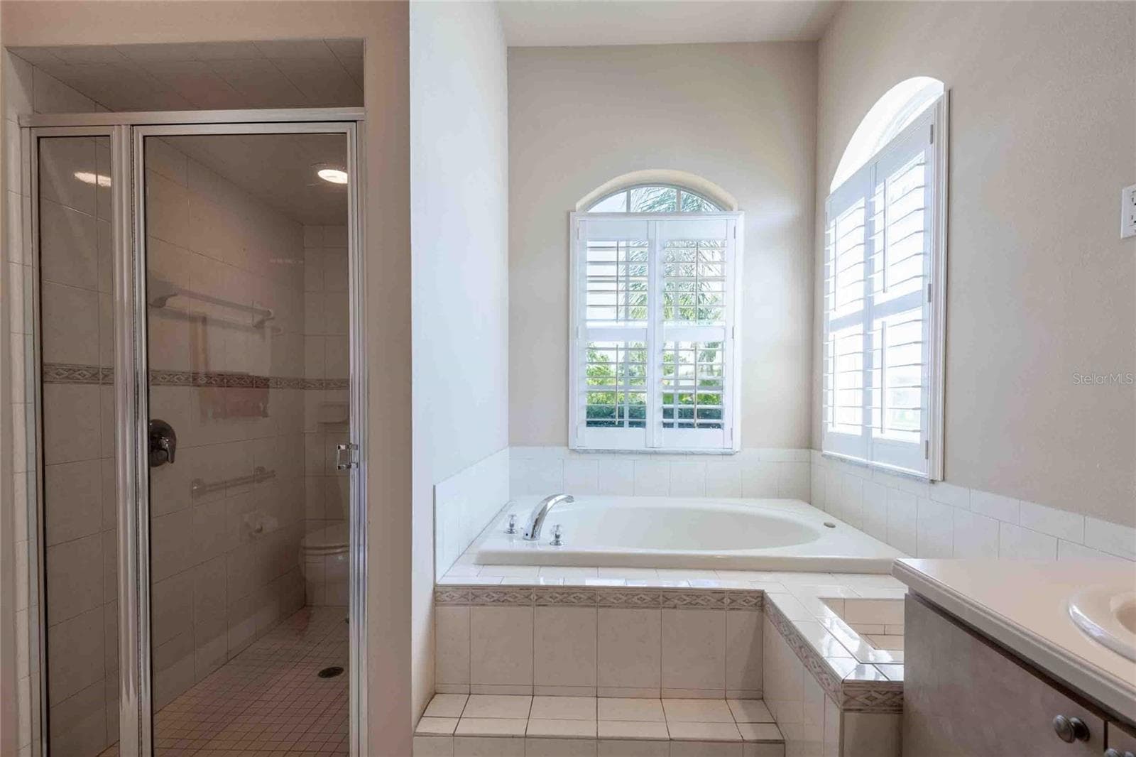 Single Family Residence at 7425 MELOGOLD CIR, LAND O LAKES, photo 28 of 51