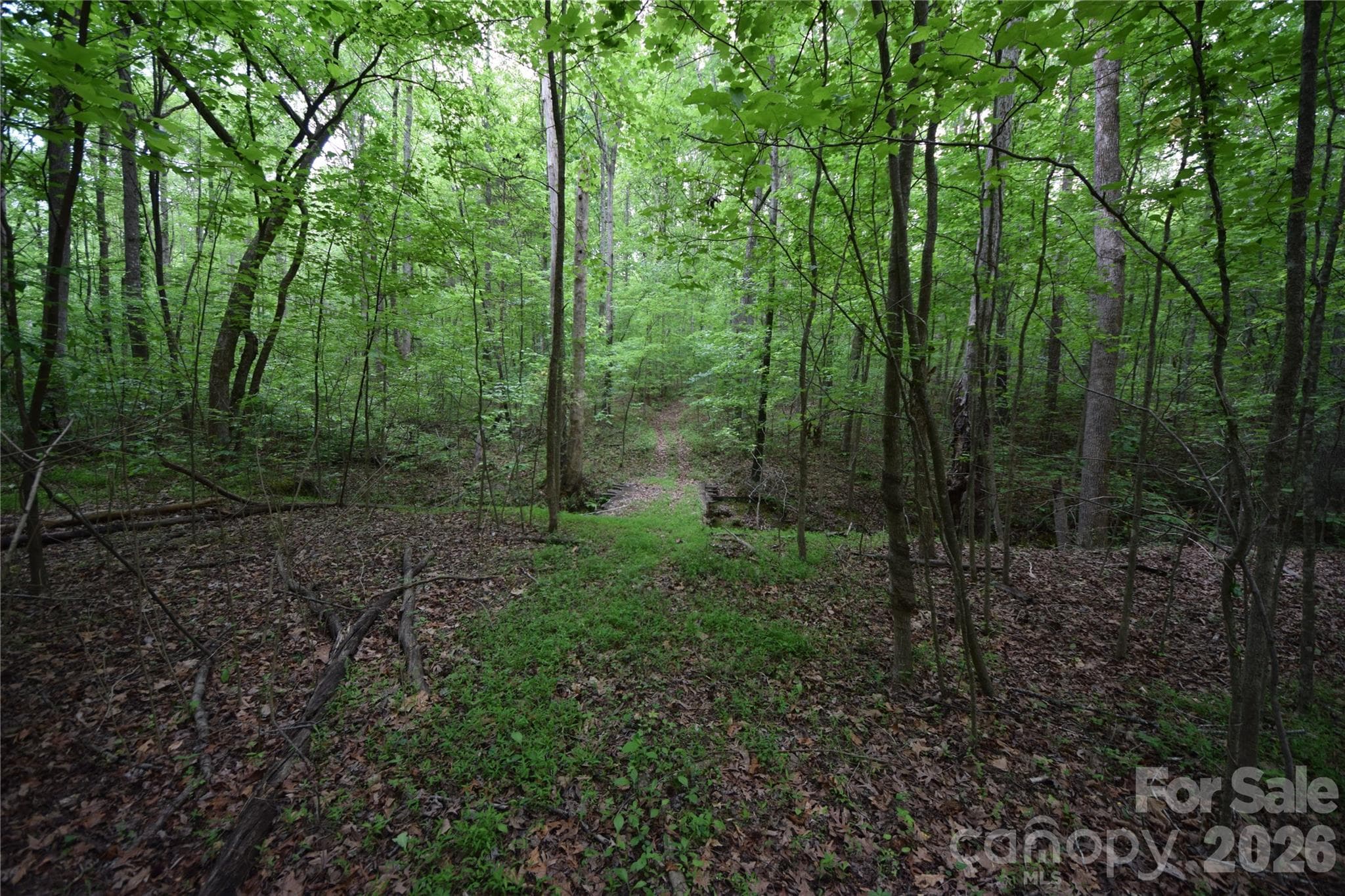 Acreage at York, photo 2 of 34