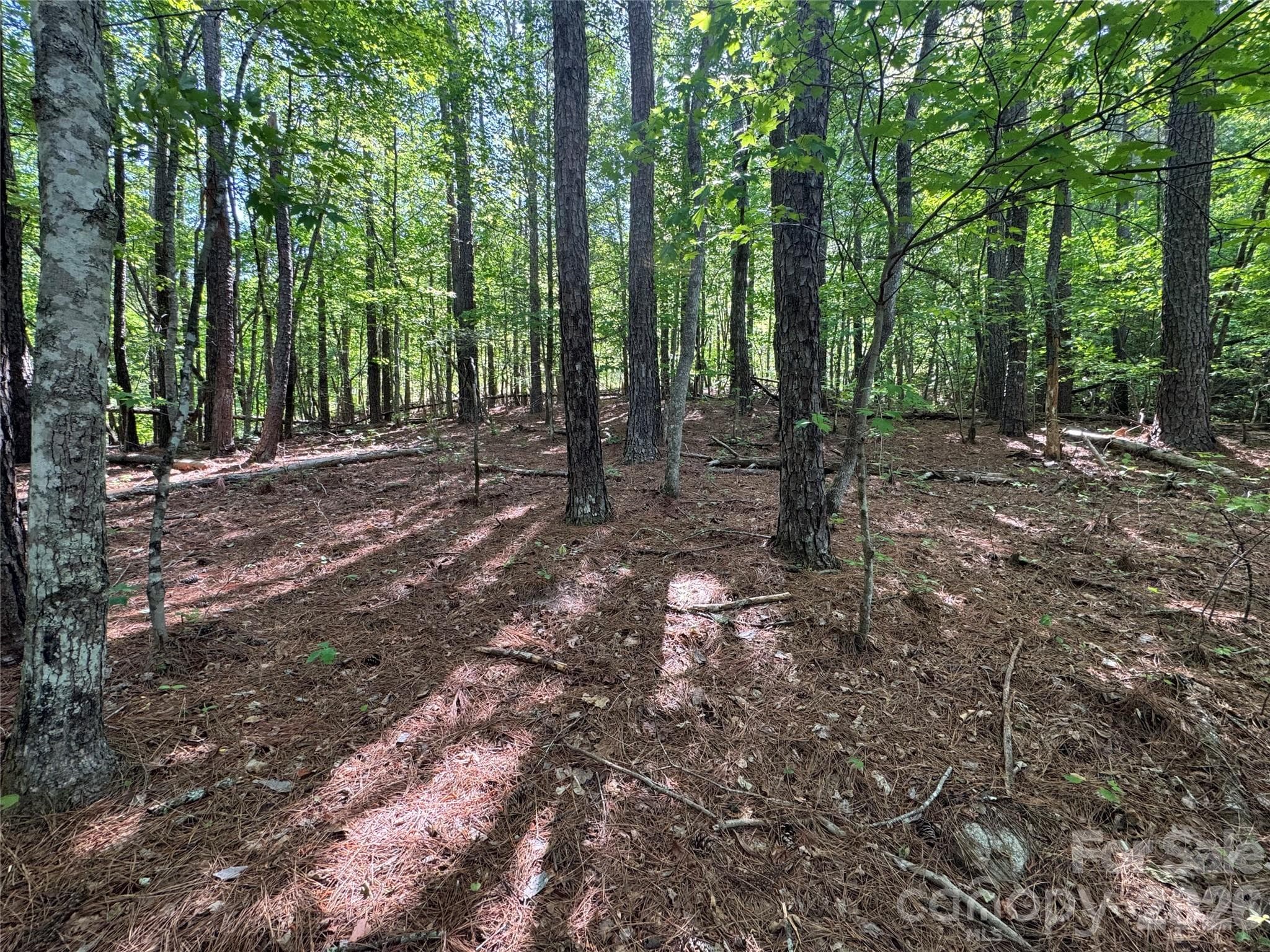 Lot at Lake Lure, photo 2 of 7