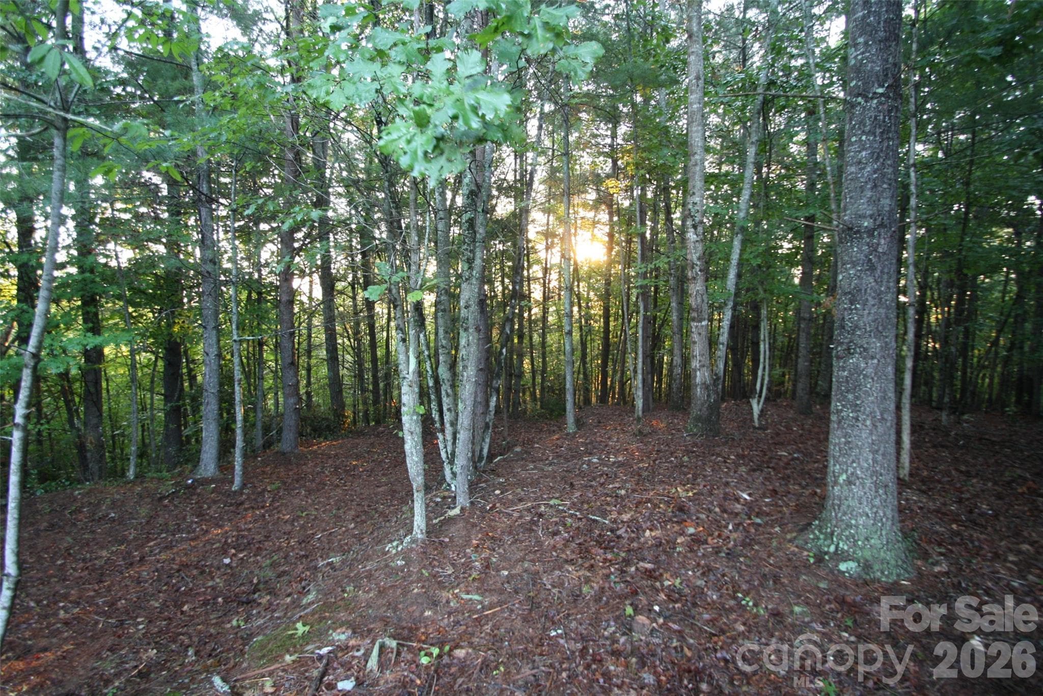 Lot at TBD Poplar Bluff Drive, Lenoir, photo 4 of 26