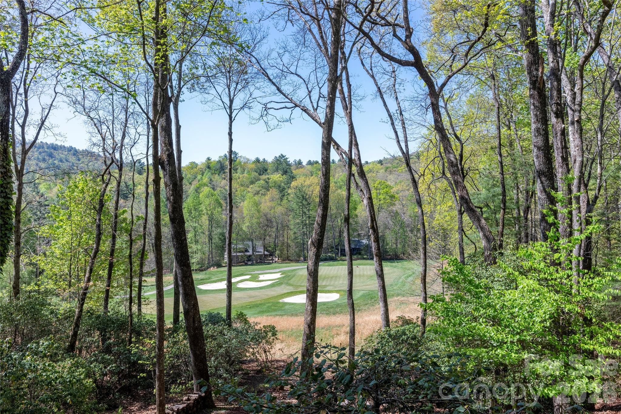 Single Family Residence at 516 Cherokee Trace, Lake Toxaway, photo 39 of 48