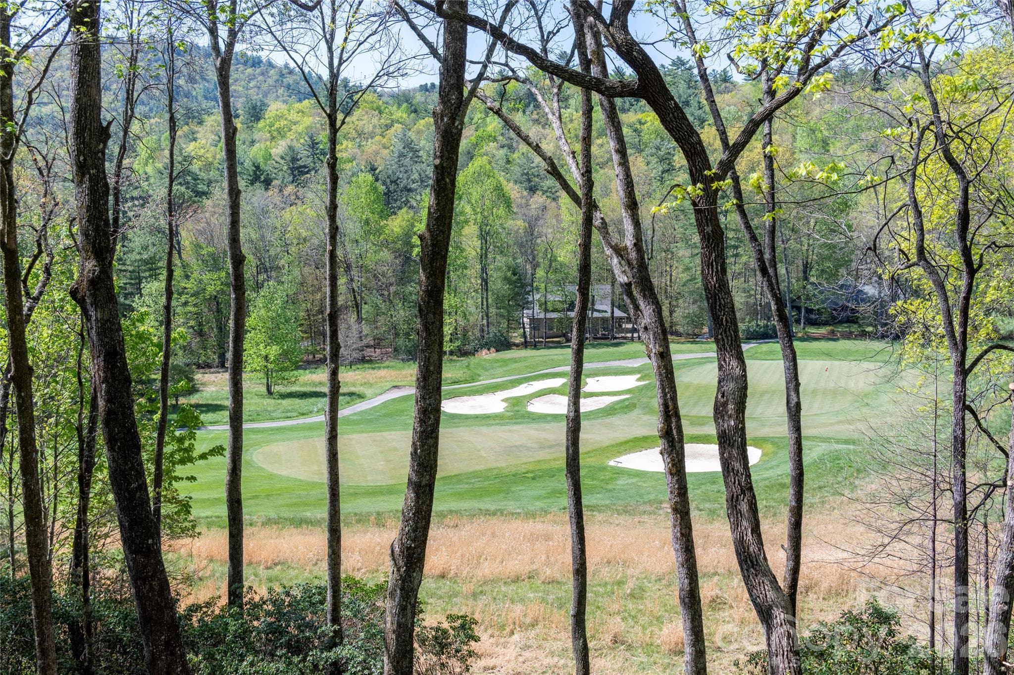 Single Family Residence at 516 Cherokee Trace, Lake Toxaway, photo 41 of 48