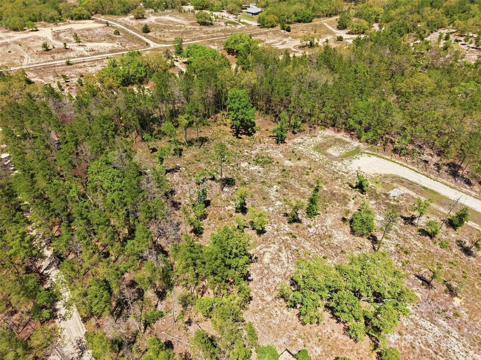 Land at 13331 HAVEN (LOT 4) TRL, WEEKI WACHEE, photo 11 of 20