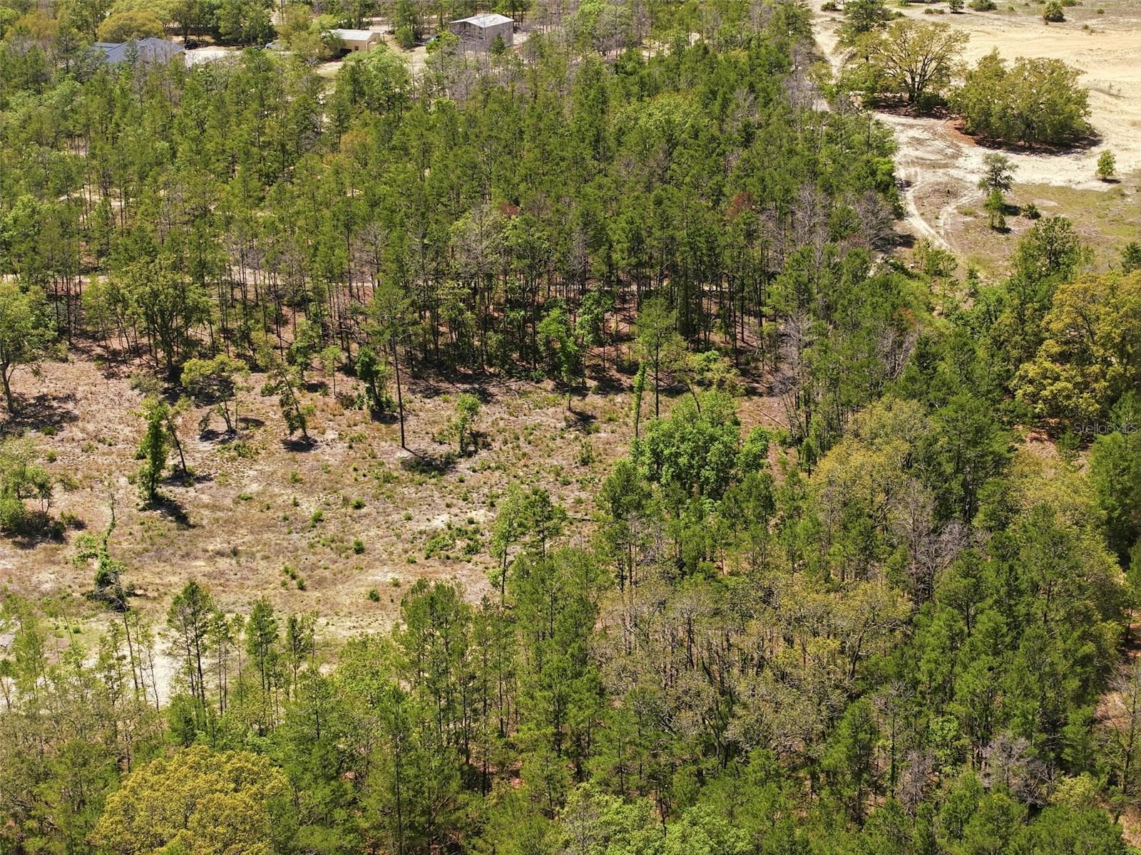 Land at 13331 HAVEN (LOT 4) TRL, WEEKI WACHEE, photo 15 of 20