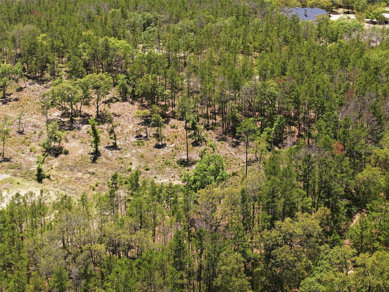 Land at 13331 HAVEN (LOT 4) TRL, WEEKI WACHEE, photo 16 of 20