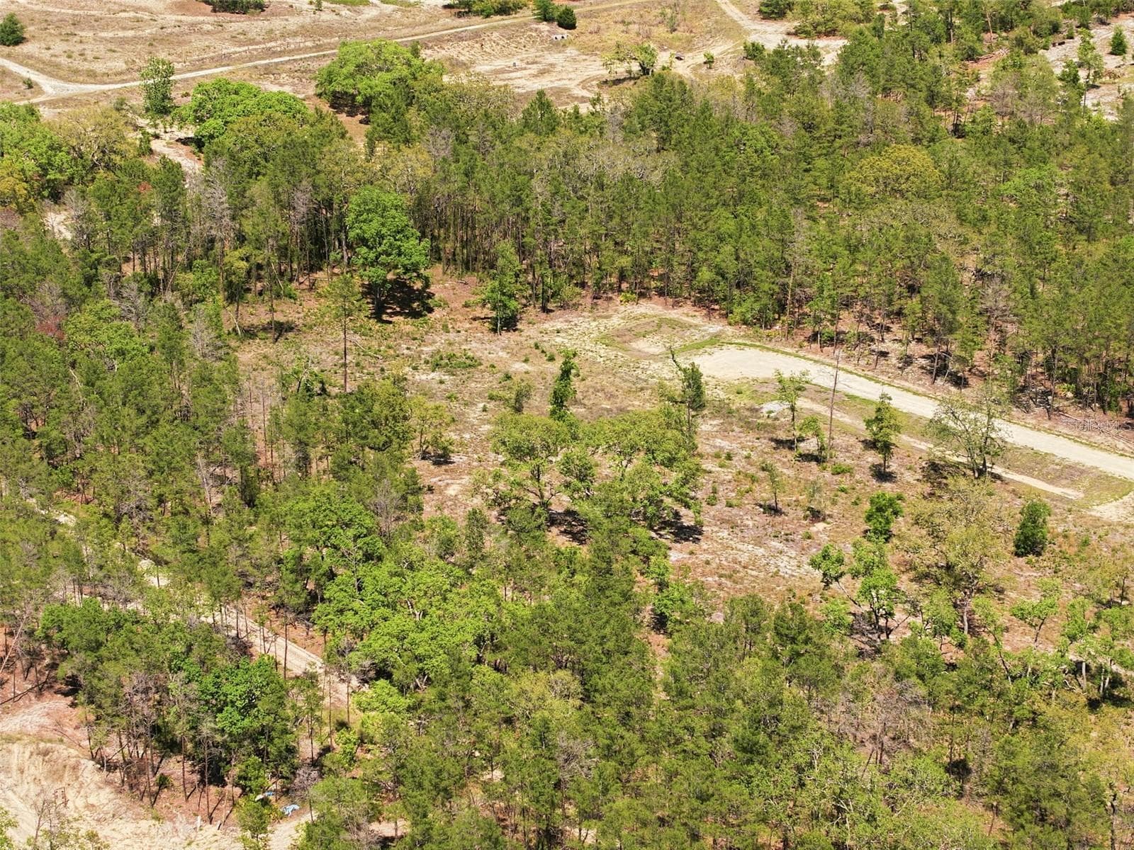 Land at 13331 HAVEN (LOT 4) TRL, WEEKI WACHEE, photo 17 of 20