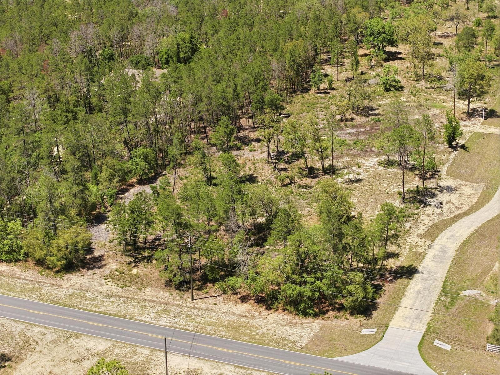 Land at 13183 HAVEN (LOT 1) TRL, WEEKI WACHEE, photo 7 of 22