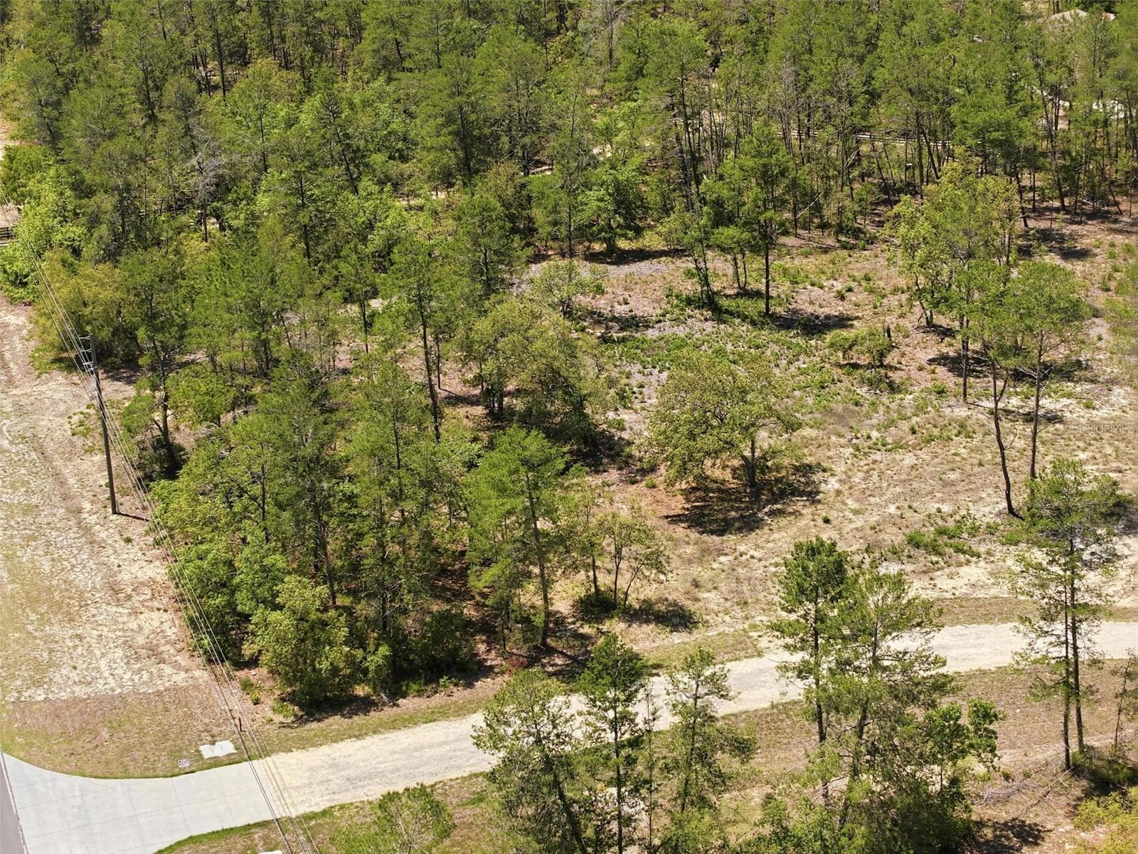 Land at 13183 HAVEN (LOT 1) TRL, WEEKI WACHEE, photo 14 of 22
