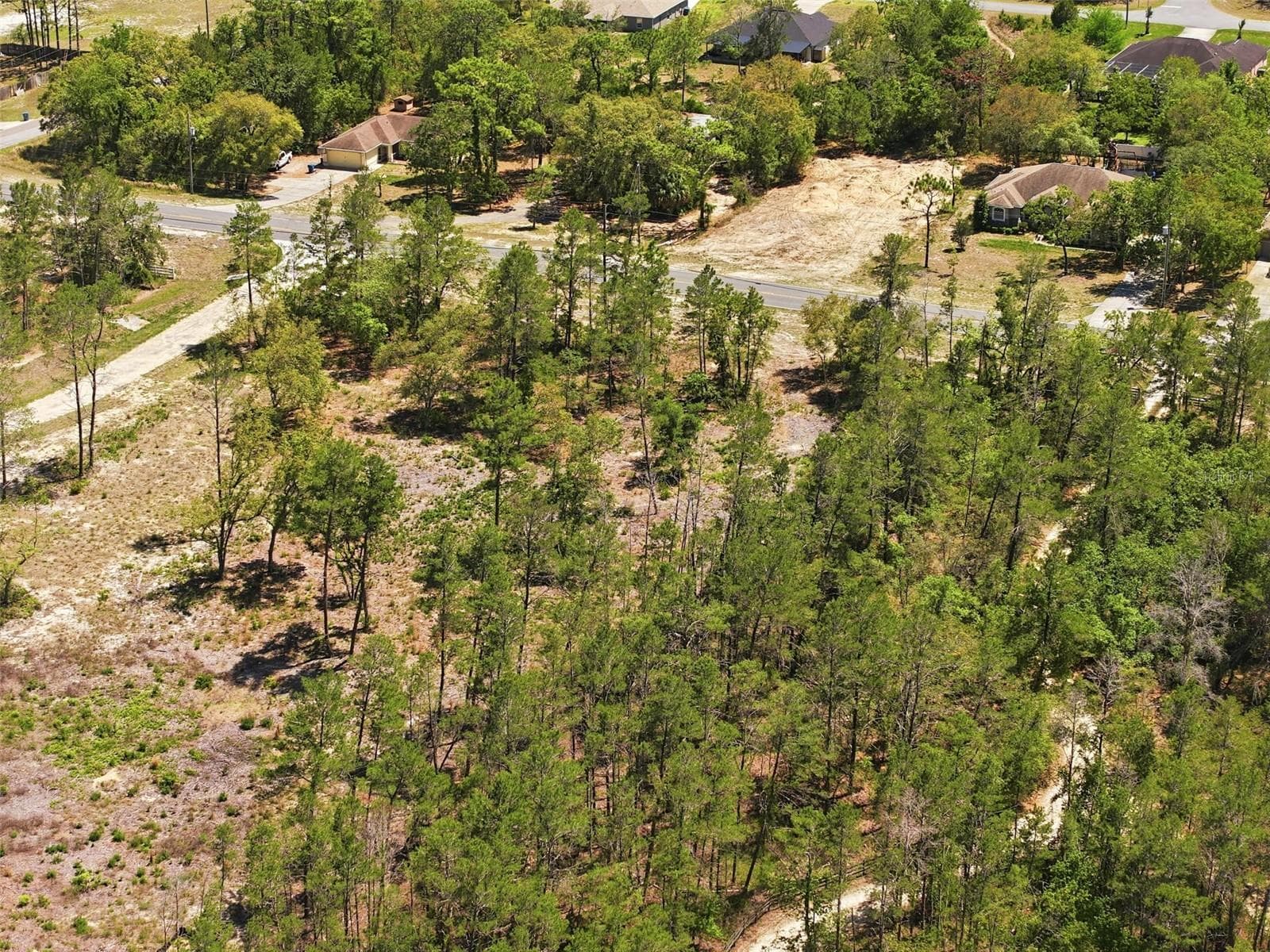 Land at 13183 HAVEN (LOT 1) TRL, WEEKI WACHEE, photo 21 of 22