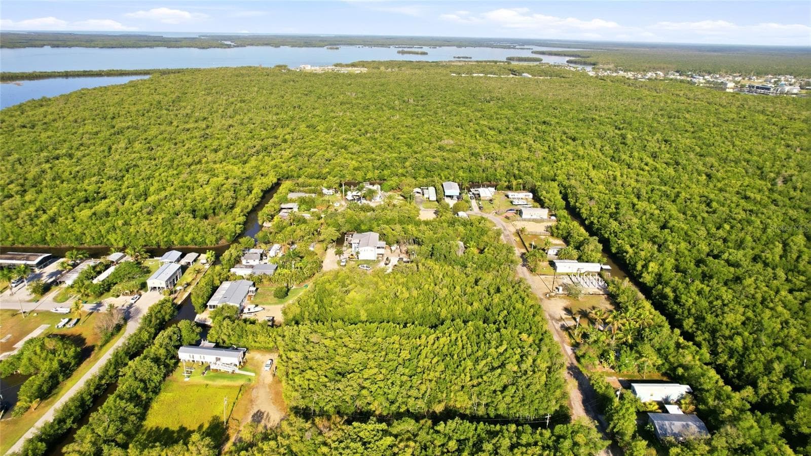 Land at 53 BEAVER LN, OCHOPEE, photo 6 of 12