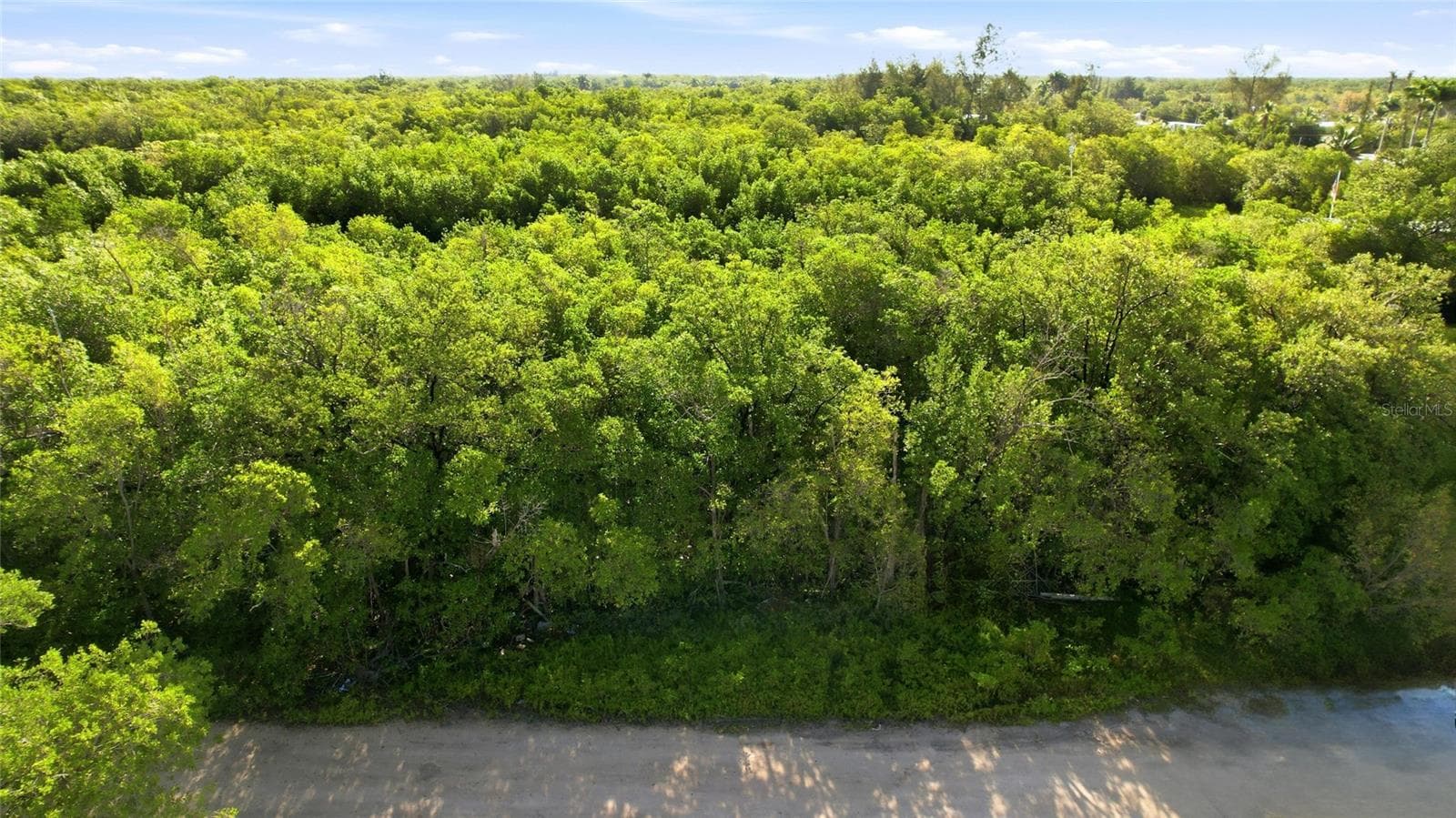 Land at 53 BEAVER LN, OCHOPEE, photo 8 of 12