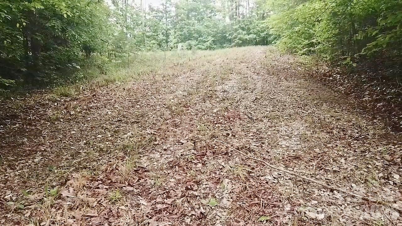 Lot at 2115 Kisatchie Drive, Hickory Grove, photo 6 of 6
