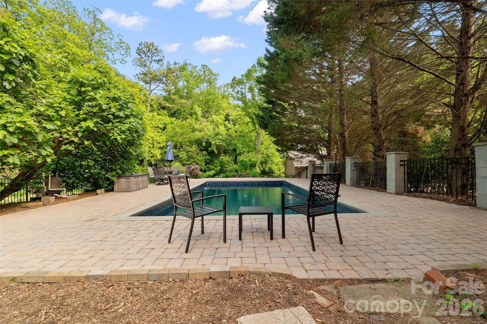 As an added bonus, this historic home has a modern amenity- in ground pool, fenced with paver surround; brand new liner installed this Spring. - 602 N Main Street, Davidson