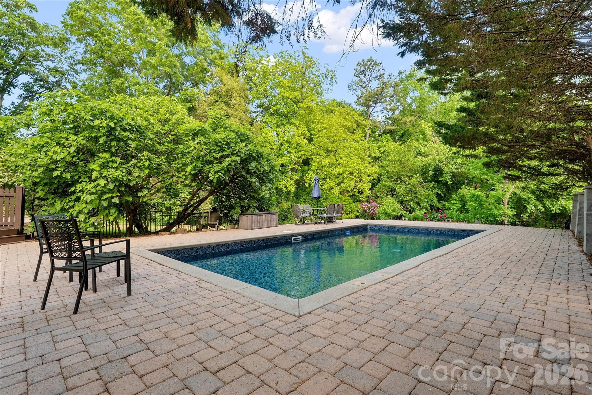 As an added bonus, this historic home has a modern amenity- in ground pool, fenced with paver surround; brand new liner installed this Spring. - 602 N Main Street, Davidson