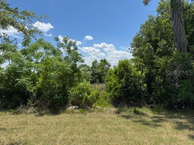 Peaceful Backyard View - 3200 WINGED FOOT RD, MOUNT DORA