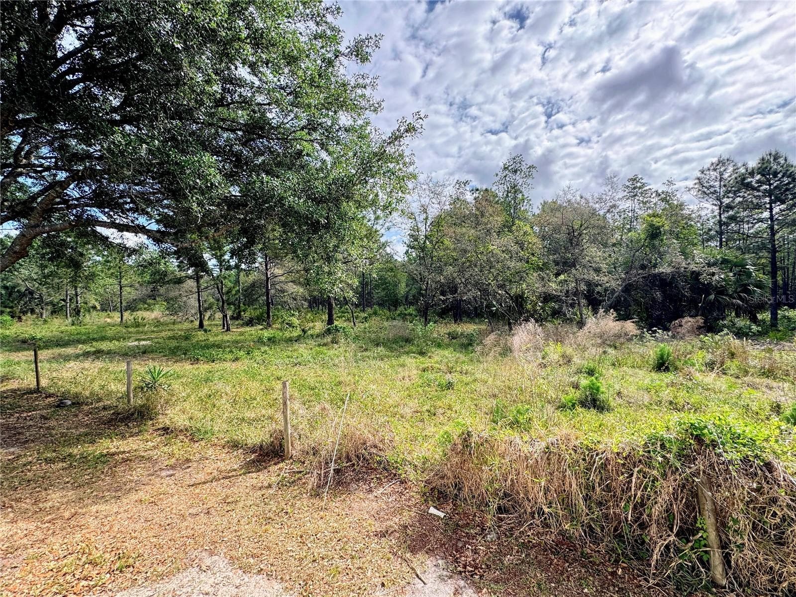 Conservation area behind the home - 4339 NORTHERN DANCER WAY, ORLANDO