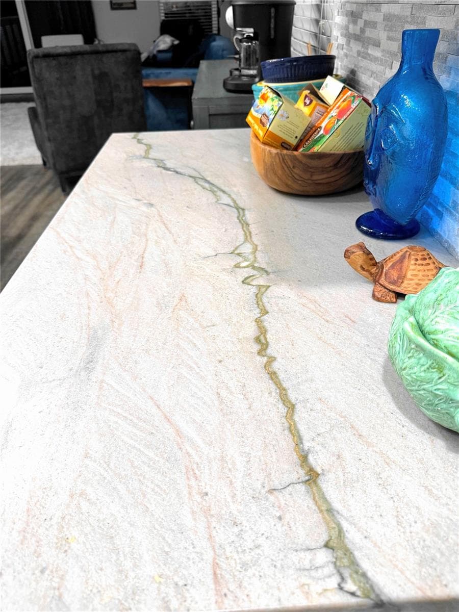 Quartzite countertops - 4339 NORTHERN DANCER WAY, ORLANDO